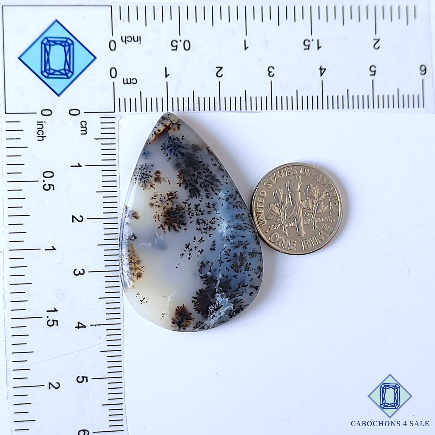 Russian Dendritic Agate