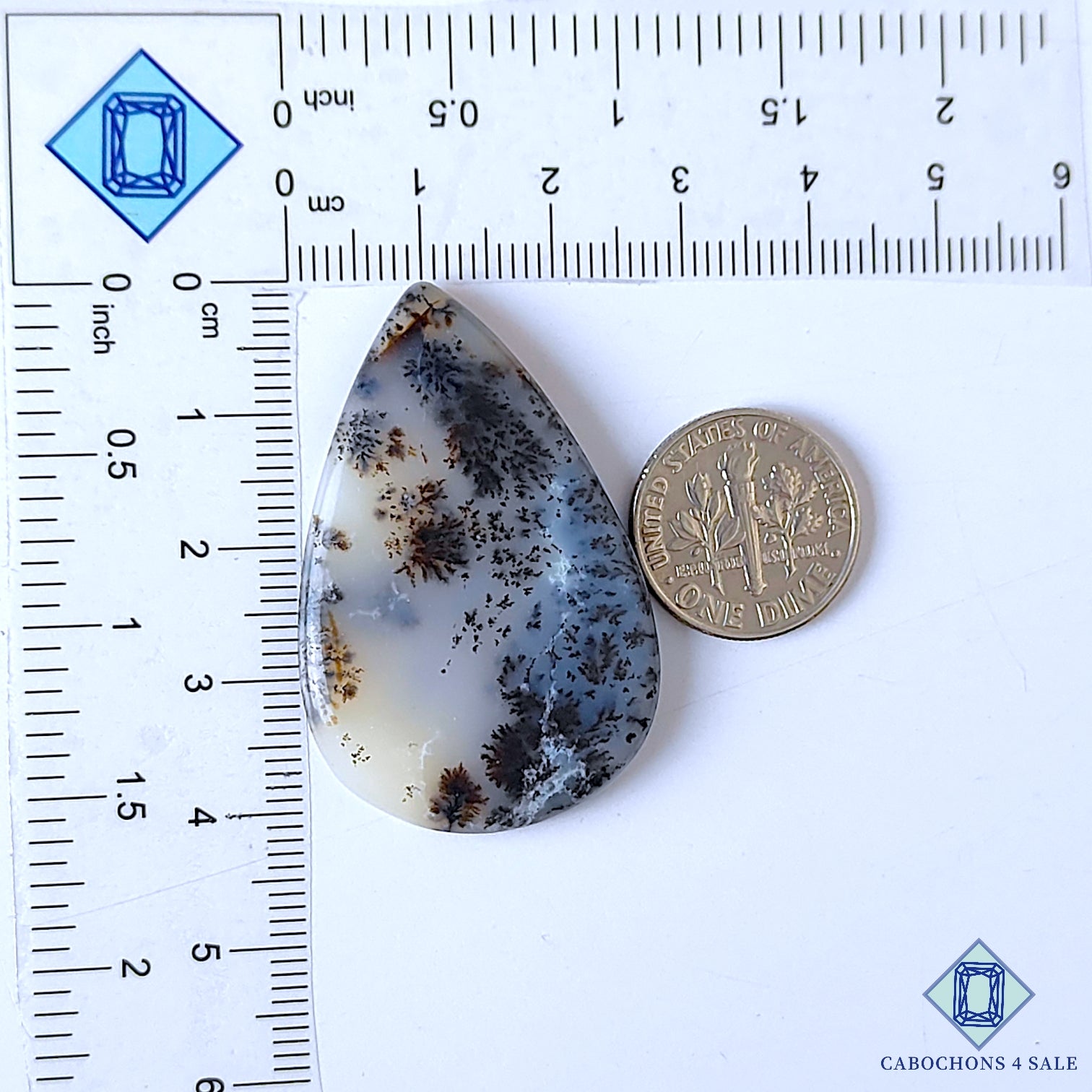 Russian Dendritic Agate