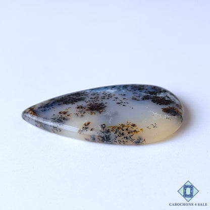 Russian Dendritic Agate