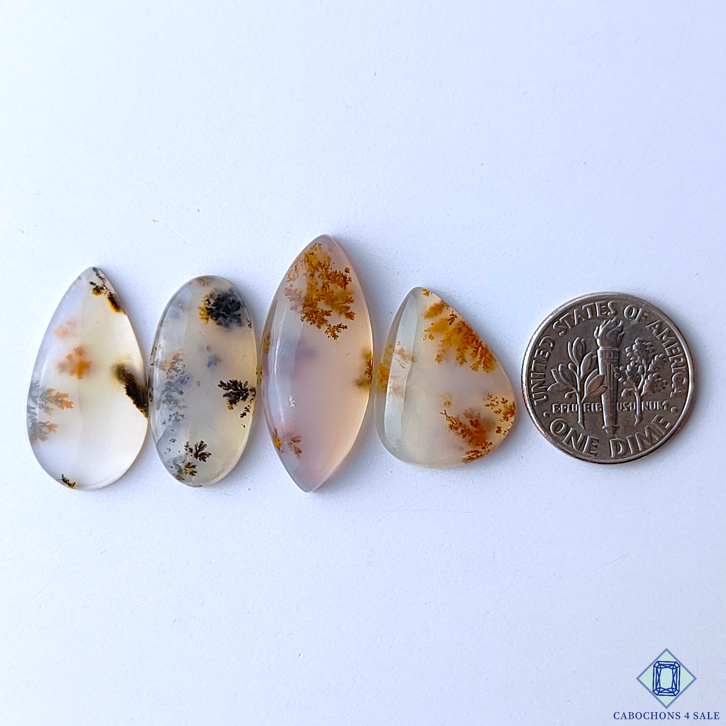 Russian Dendritic Agate