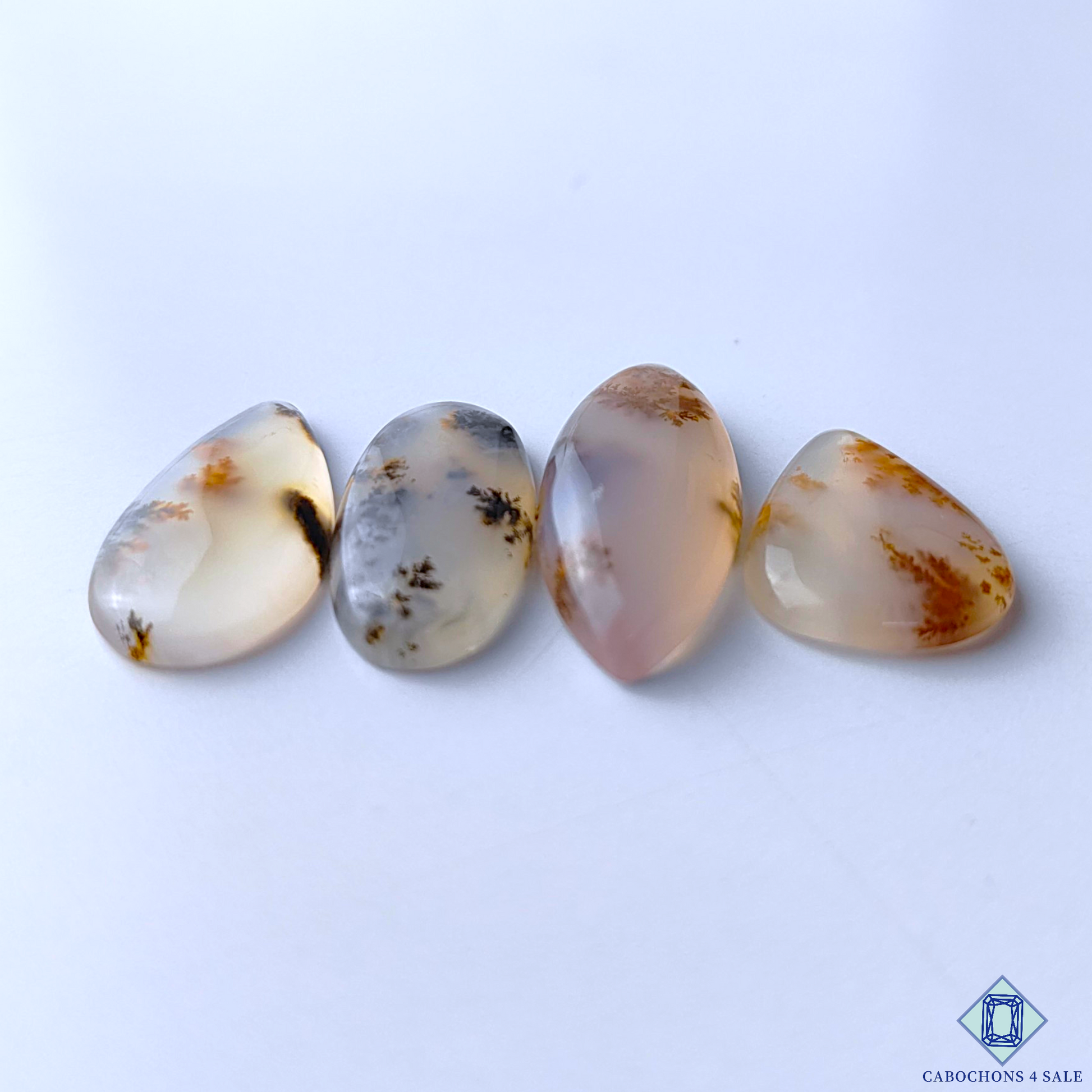 Russian Dendritic Agate