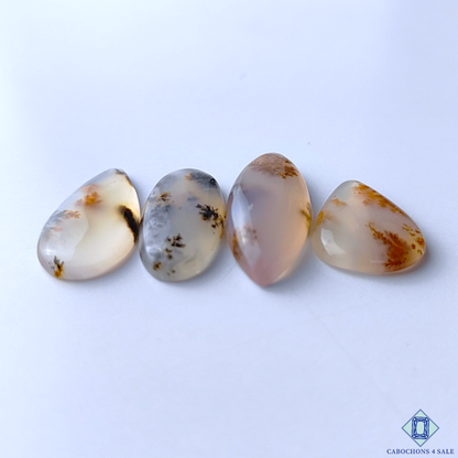 Russian Dendritic Agate