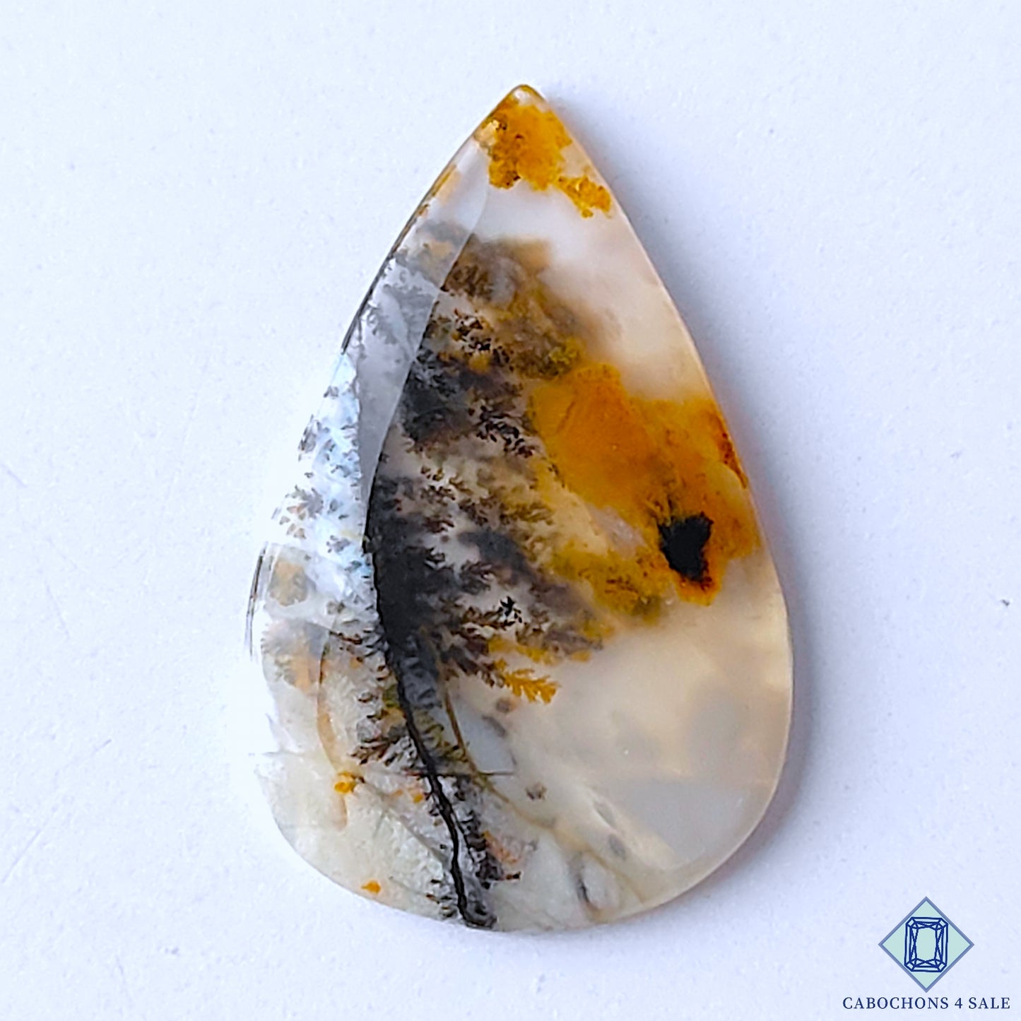 Russian Dendritic Agate