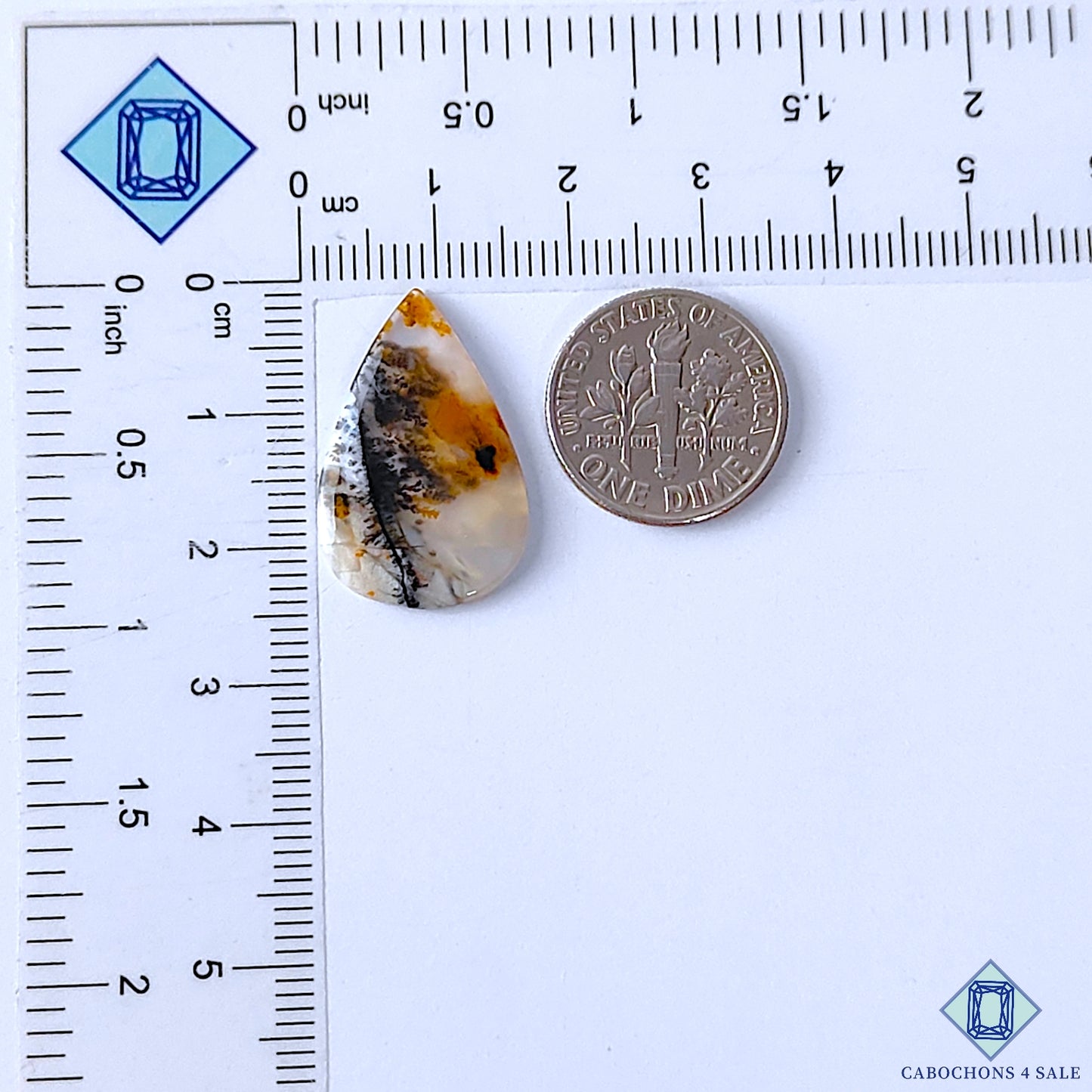 Russian Dendritic Agate