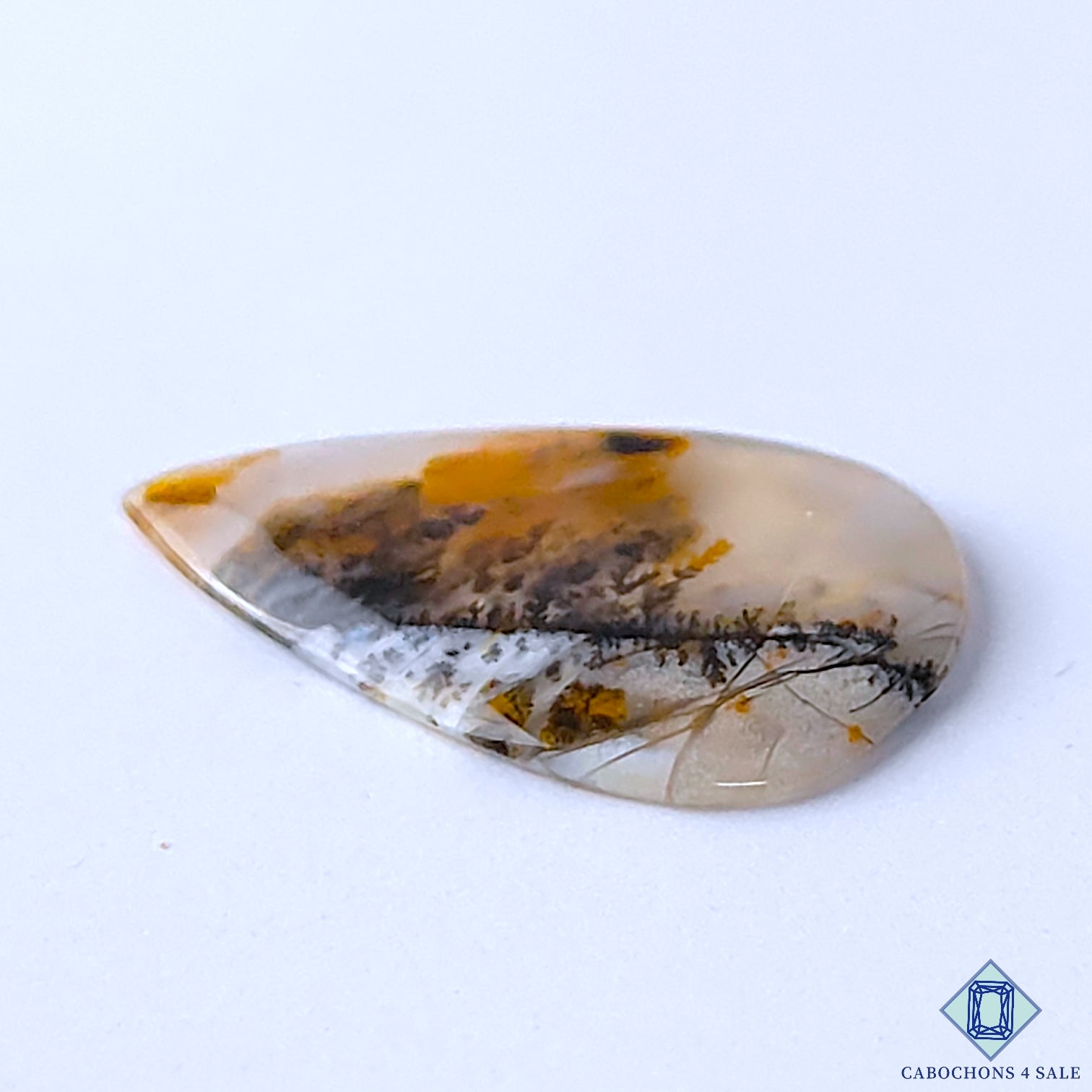Russian Dendritic Agate