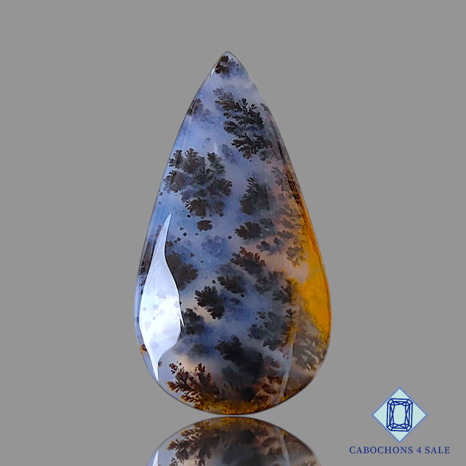 Russian Dendritic Agate