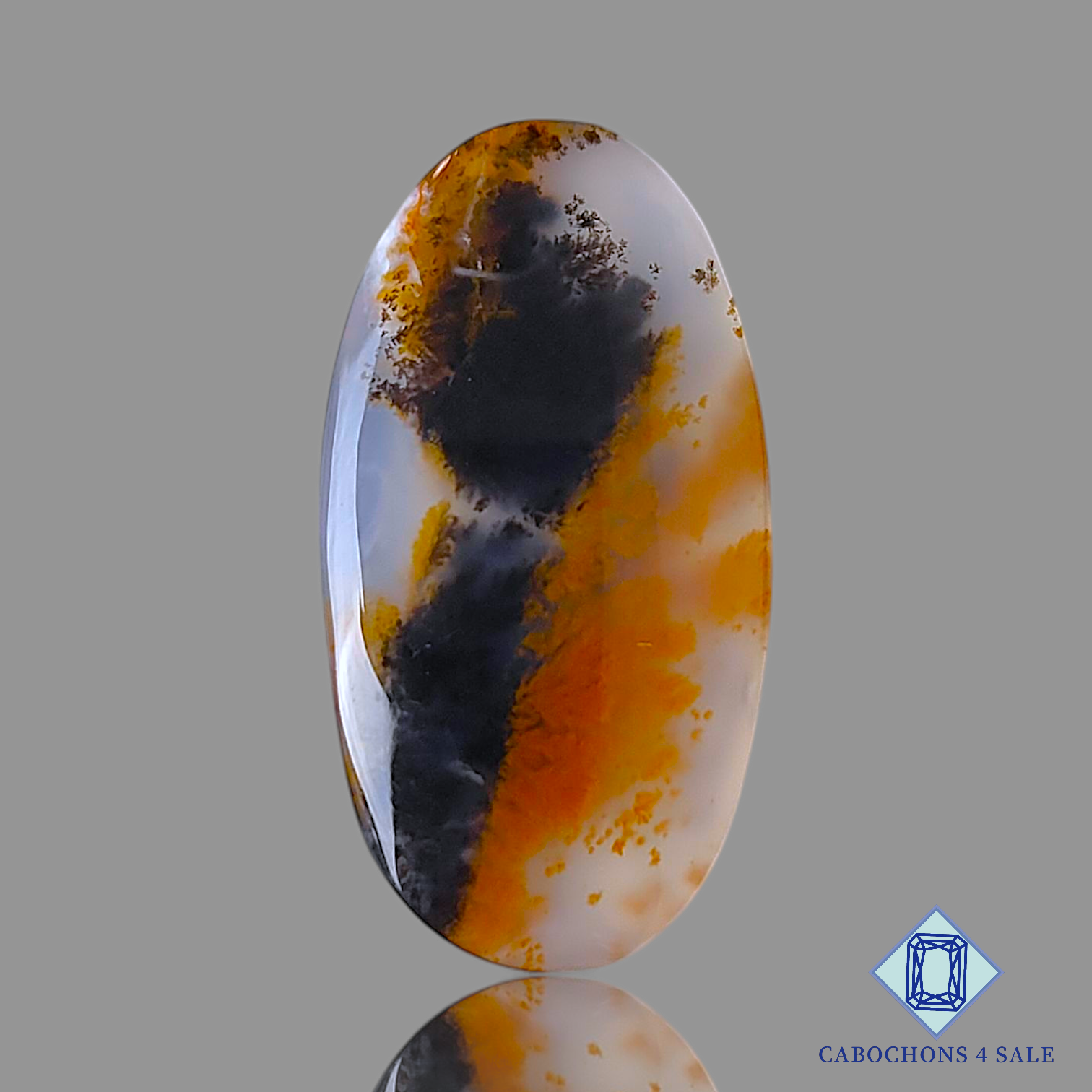 Russian Dendritic Agate