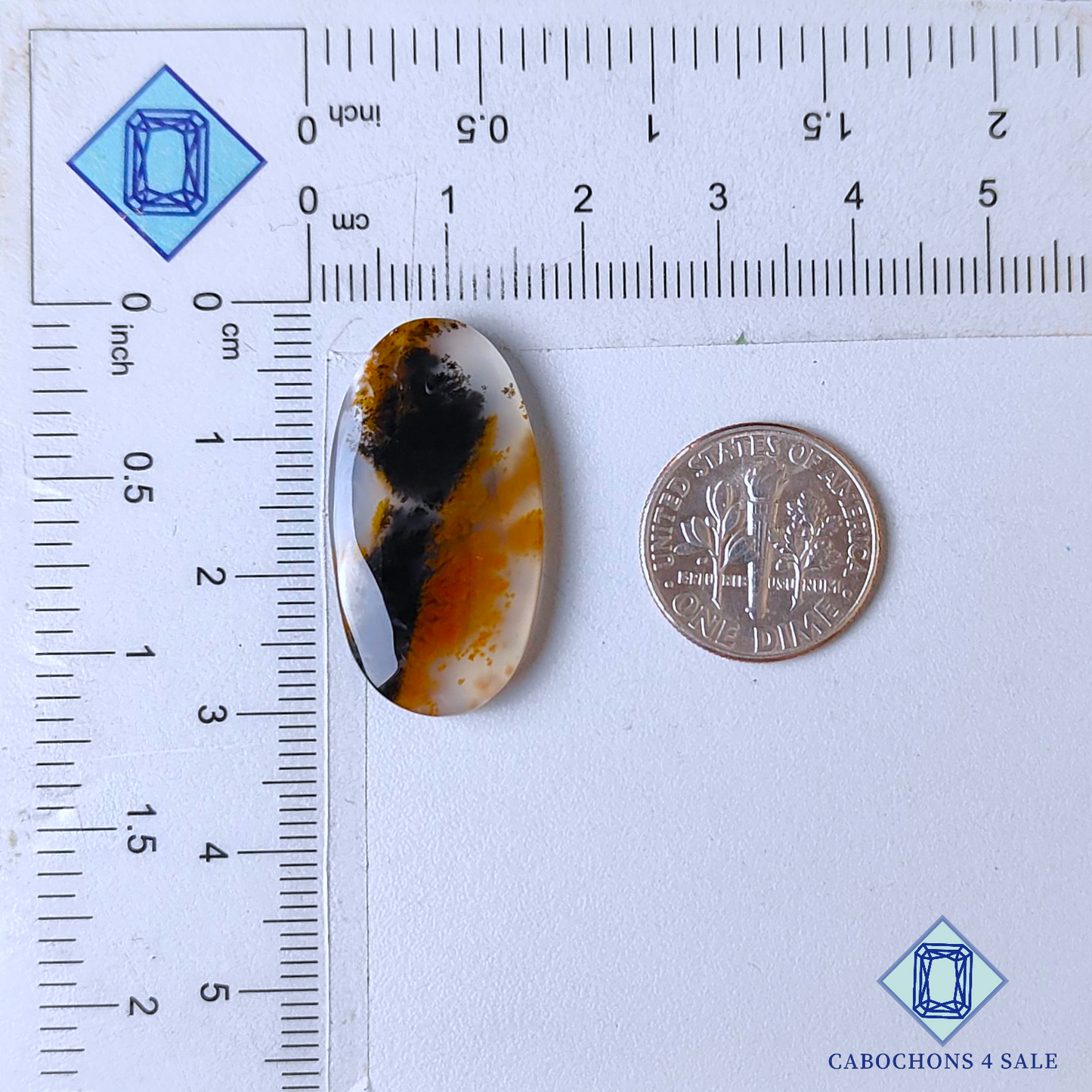 Cabujones ovalados de ágata dendrítica rusa