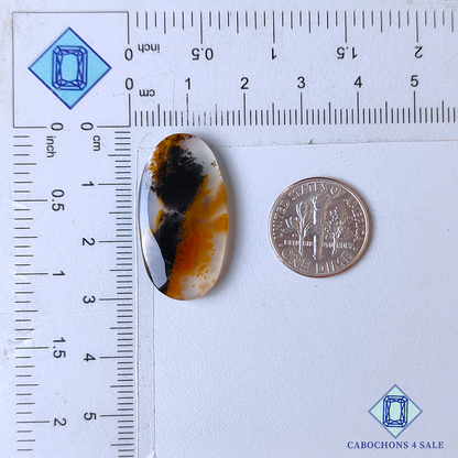 Cabujones ovalados de ágata dendrítica rusa