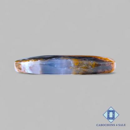 Cabujones ovalados de ágata dendrítica rusa