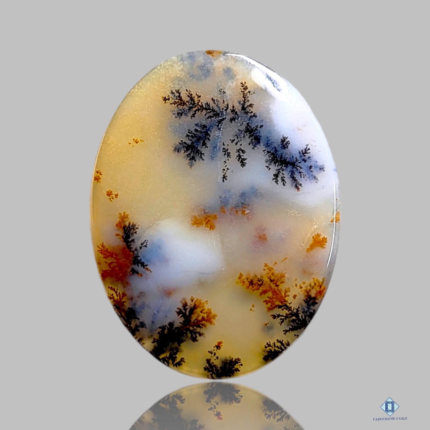 Russian Dendritic Agate