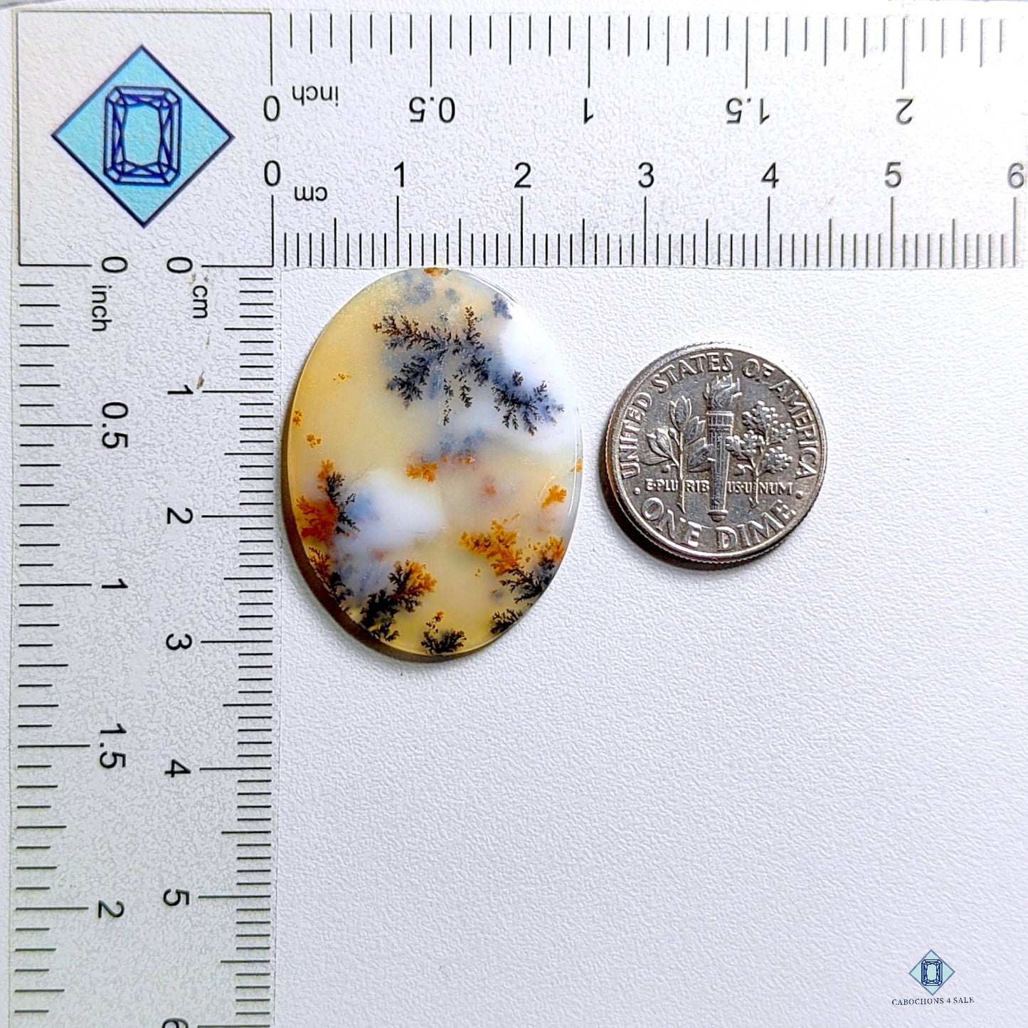 Russian Dendritic Agate Oval Cabochons