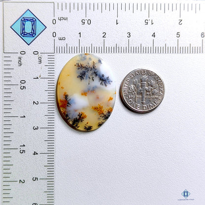 Russian Dendritic Agate Oval Cabochons