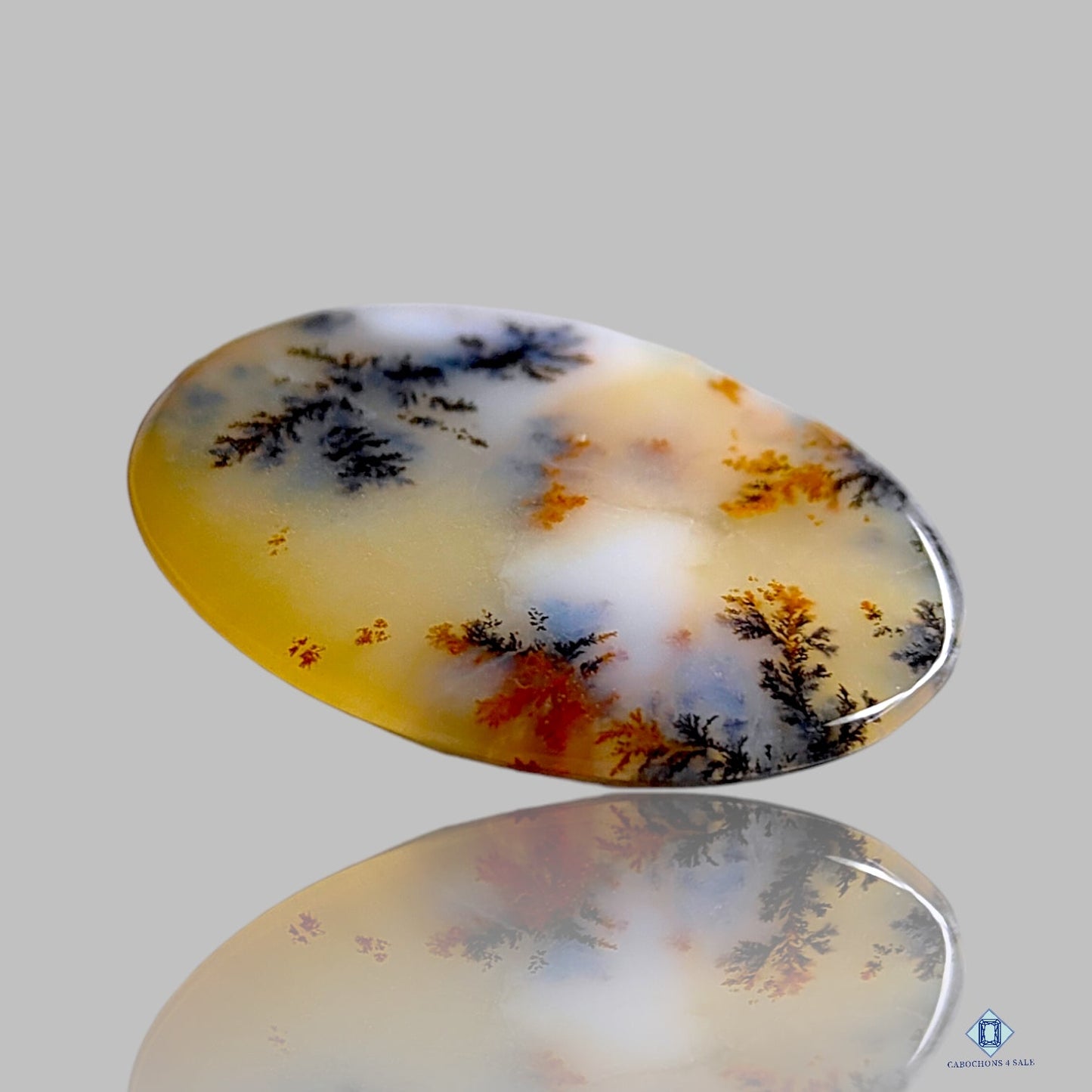 Russian Dendritic Agate Oval Cabochons