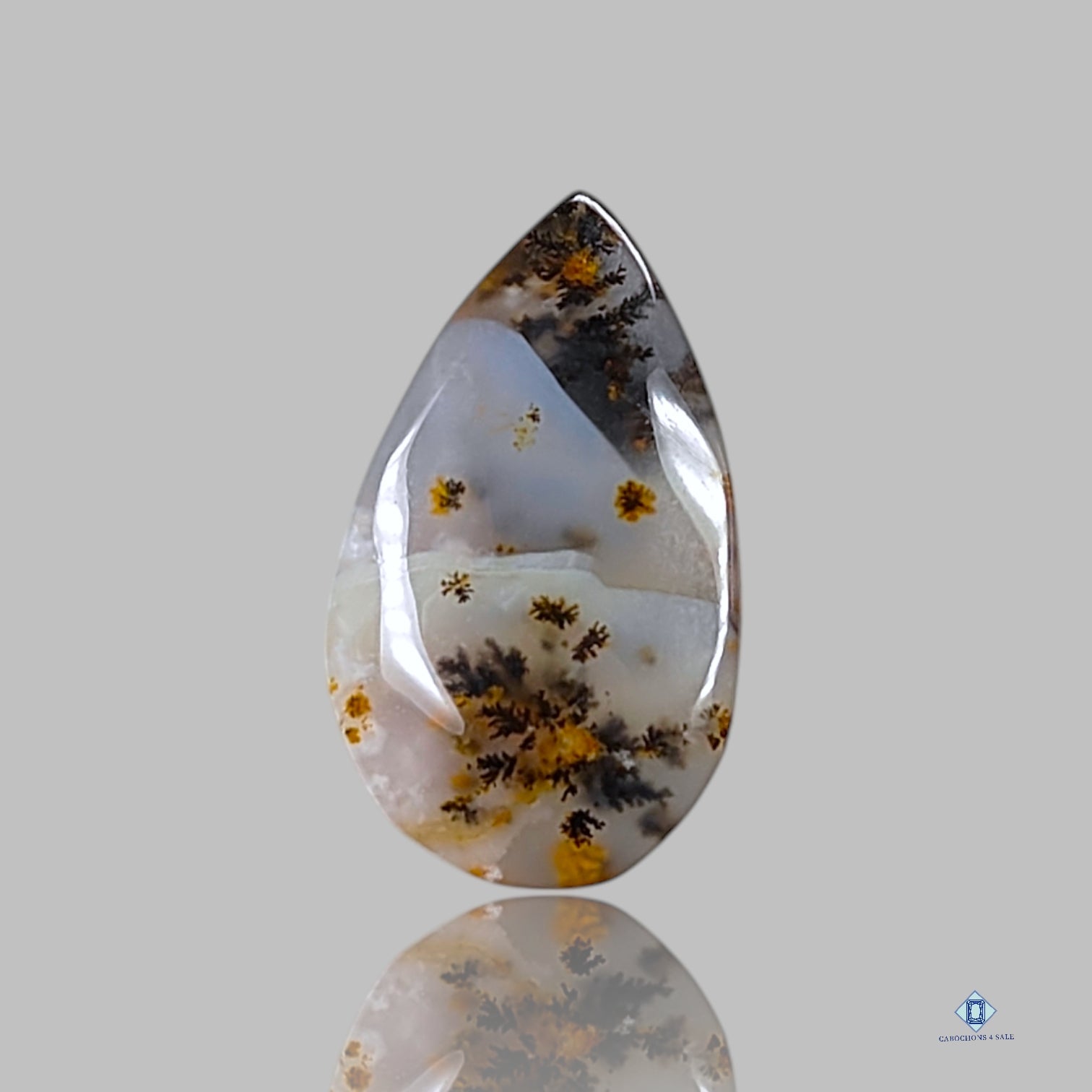 Russian Dendritic Agate