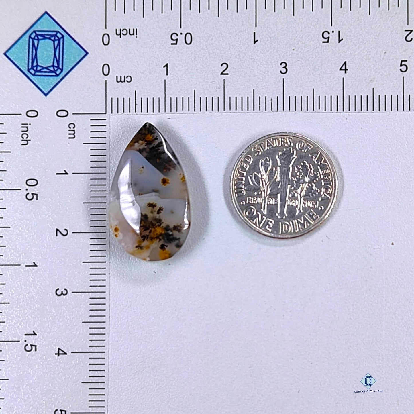 Russian Dendritic Agate Pear Cabochons