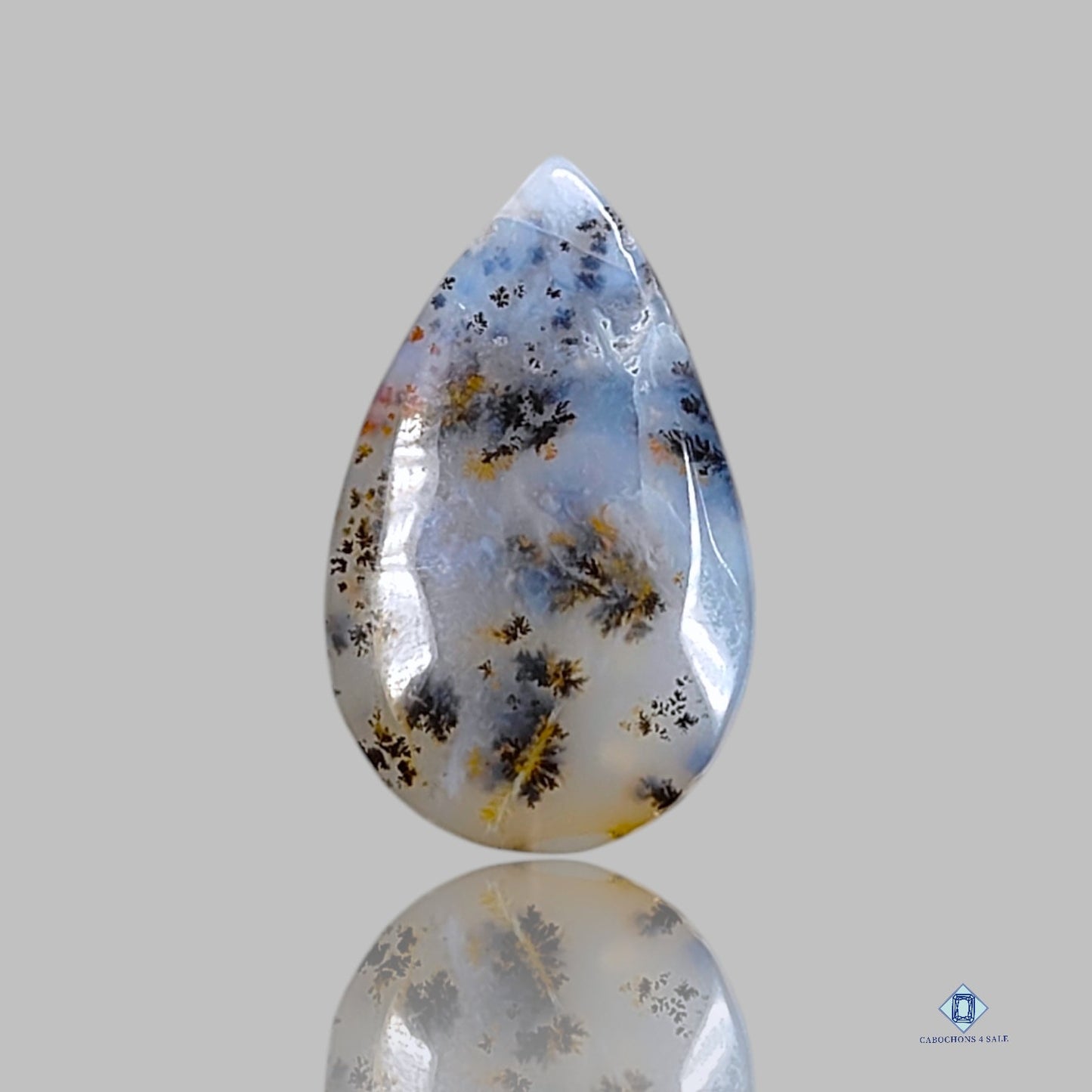 Russian Dendritic Agate