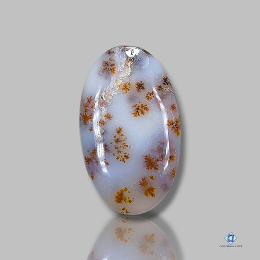 Russian Dendritic Agate