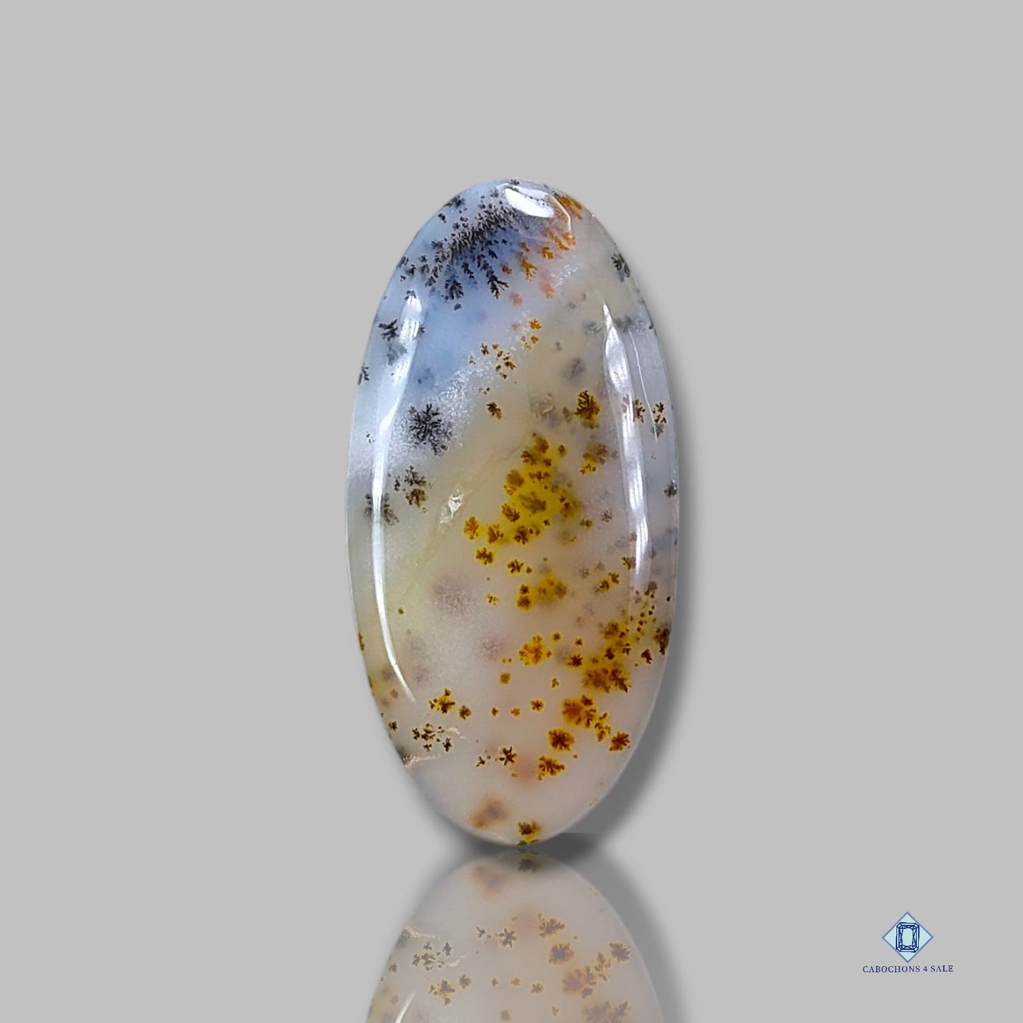 Russian Dendritic Agate