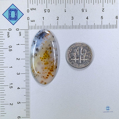 Russian Dendritic Agate Oval Cabochons