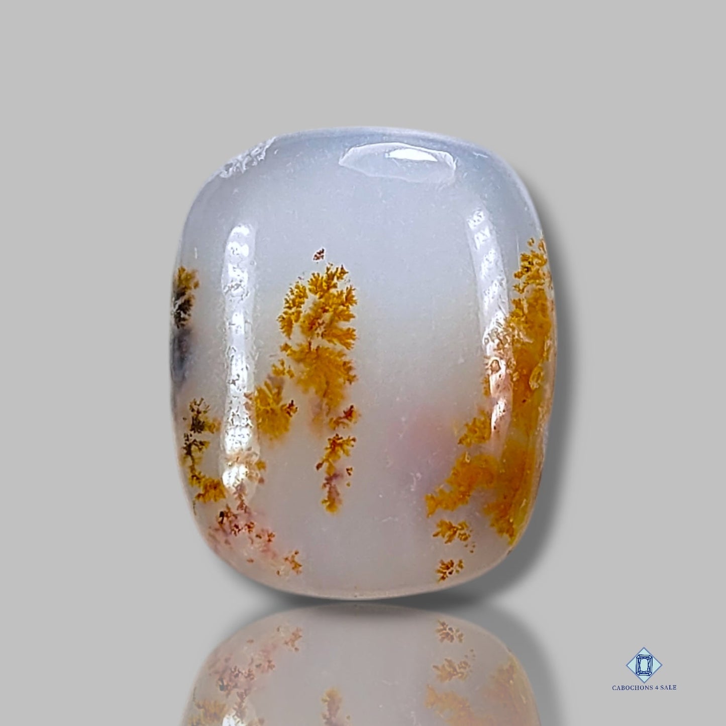 Russian Dendritic Agate