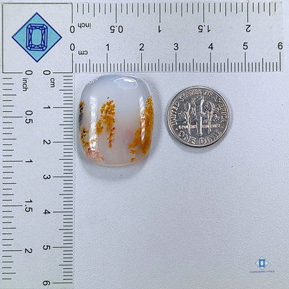 Russian Dendritic Agate Cushion Cabochons