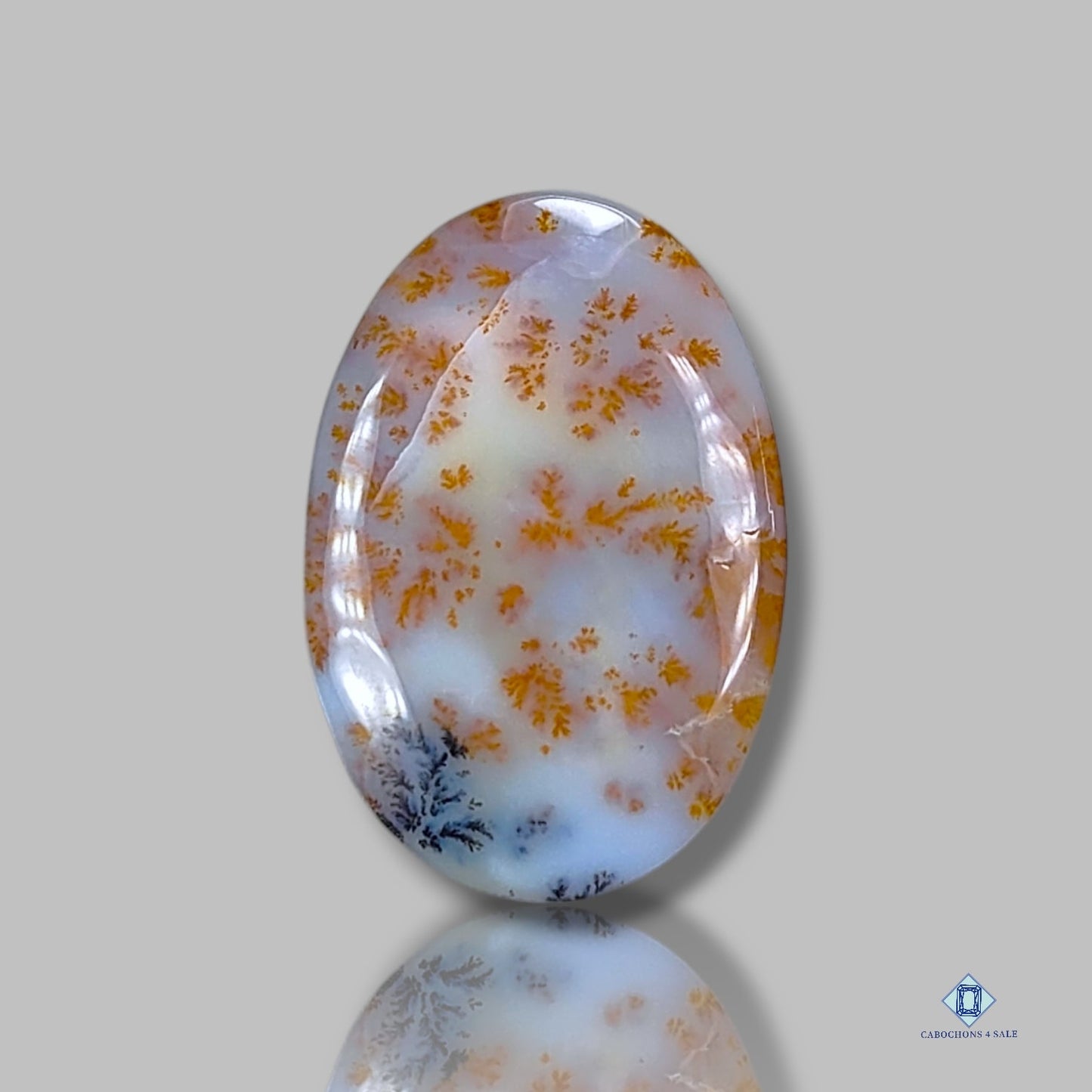 Russian Dendritic Agate