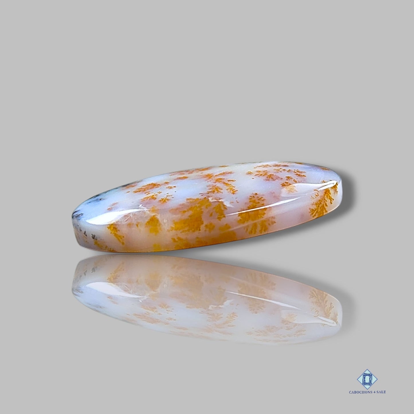 Russian Dendritic Agate Oval Cabochons