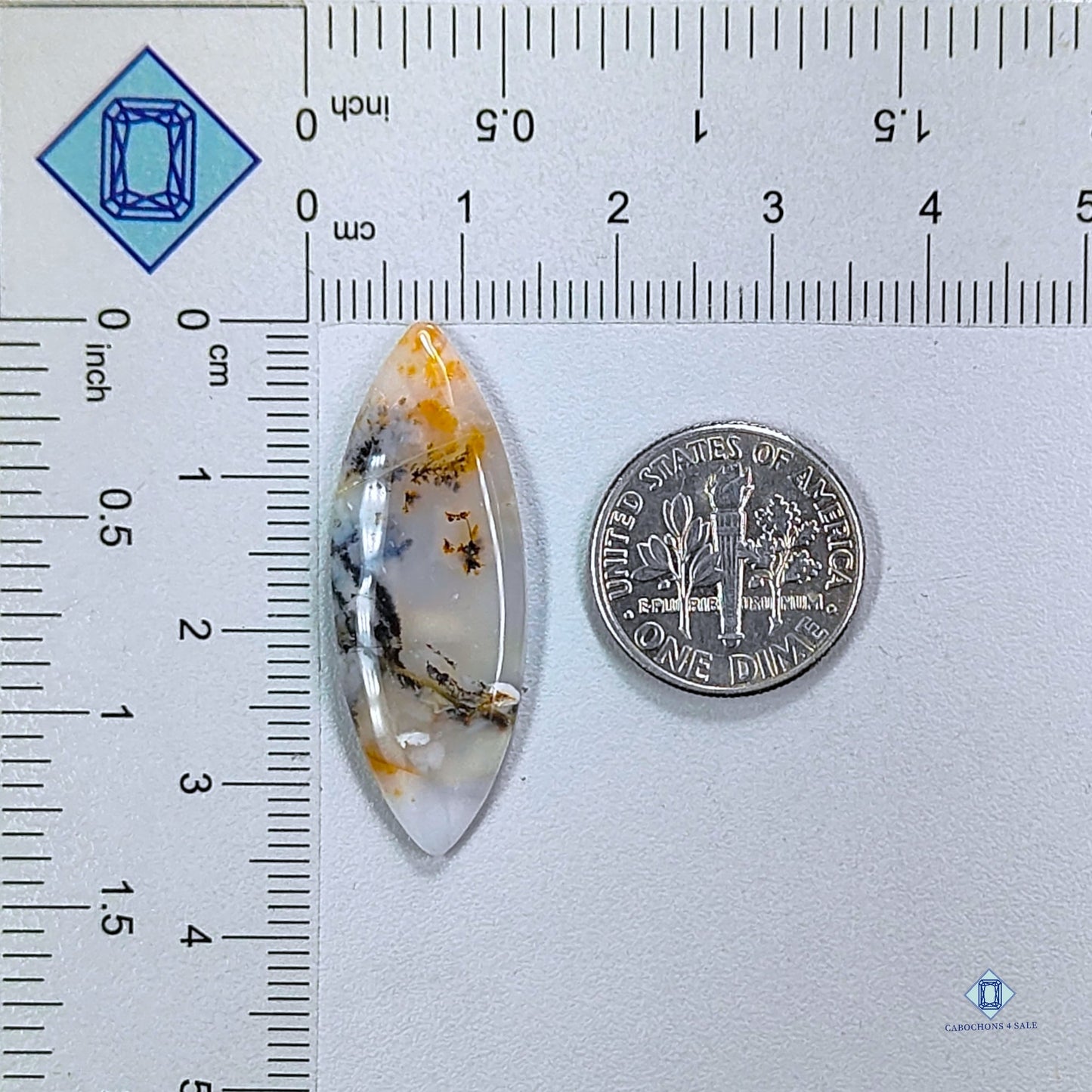 Russian Dendritic Agate Marquise Cabochons