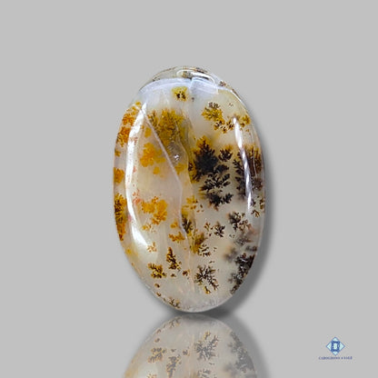 Russian Dendritic Agate