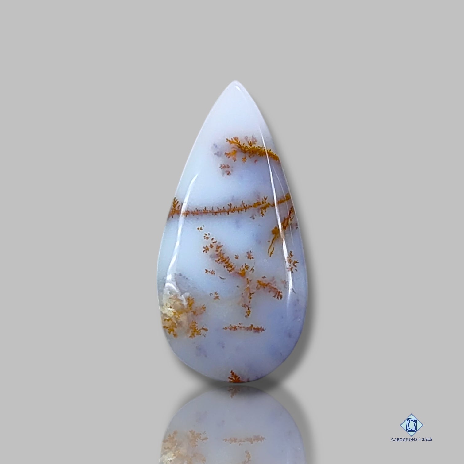 Russian Dendritic Agate