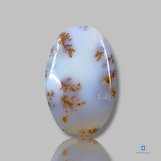 Russian Dendritic Agate