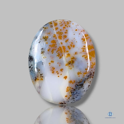 Russian Dendritic Agate