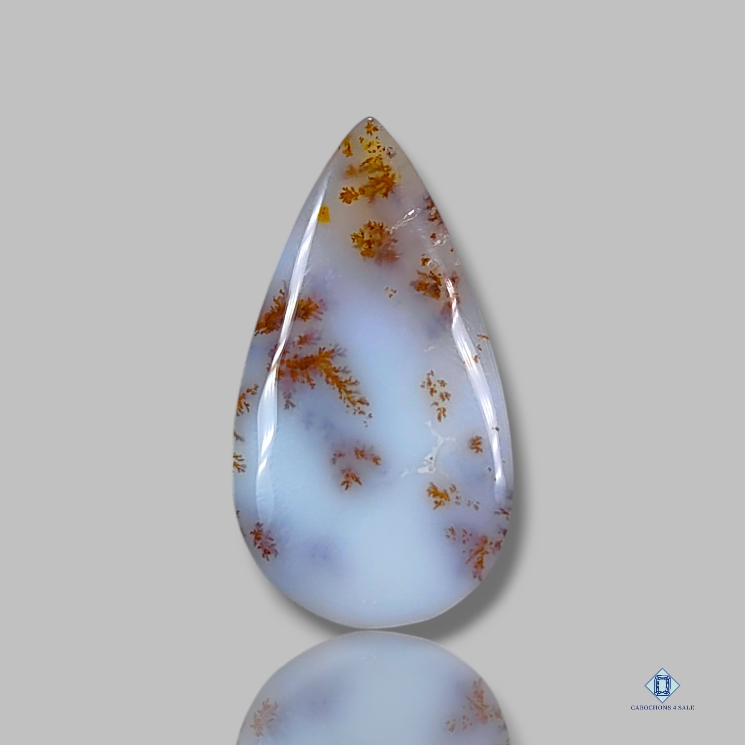 Russian Dendritic Agate