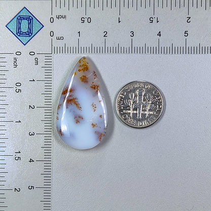 Russian Dendritic Agate Pear Cabochons