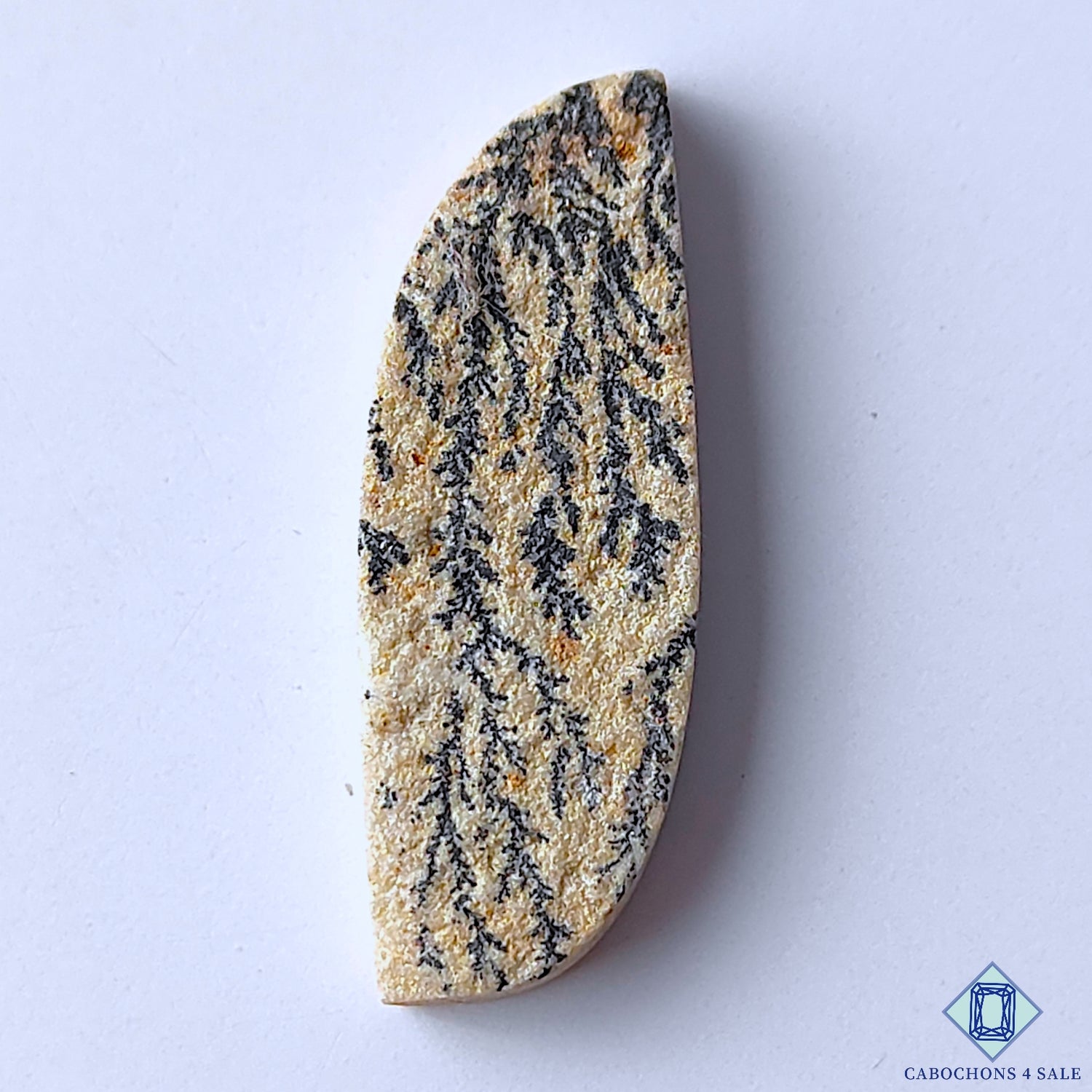 Russian Psilomelane Dendritic Agate