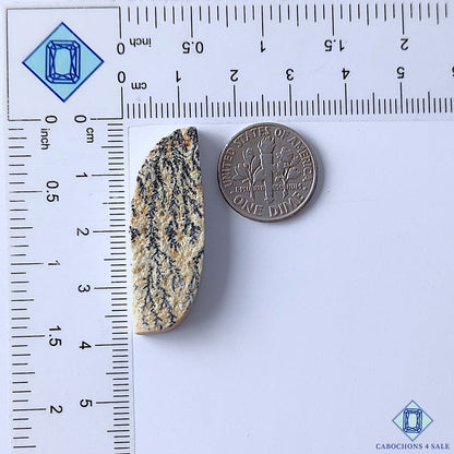 Russian Psilomelane Dendritic Agate