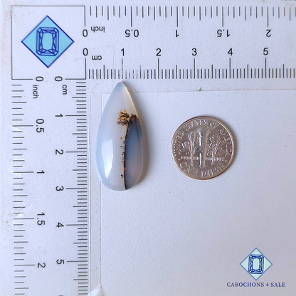 Scenic Agate Pear Cabochons