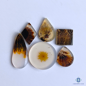 Scenic Agate Mix Shape Lots