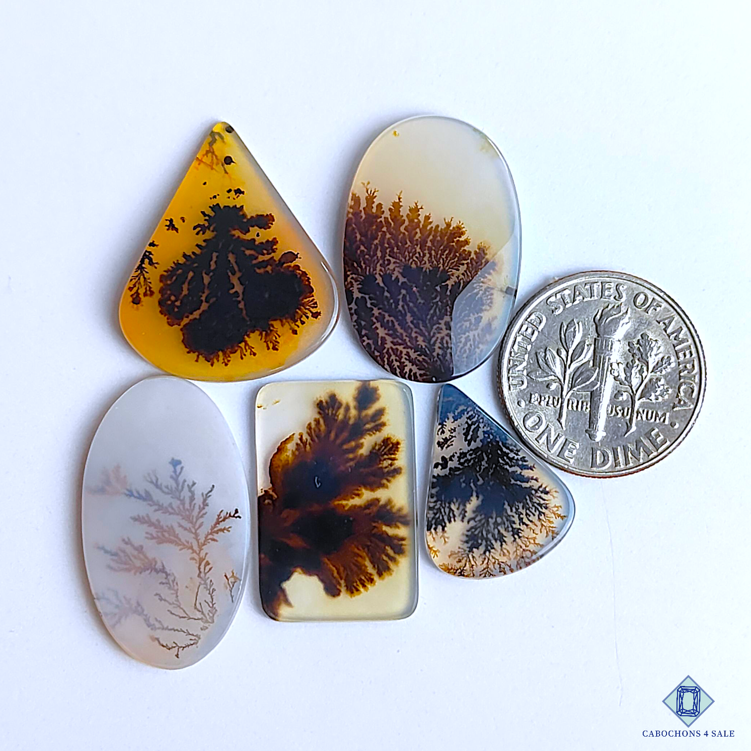 Scenic Agate