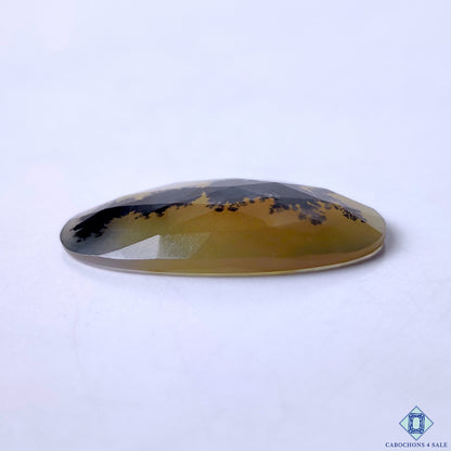 Scenic Agate