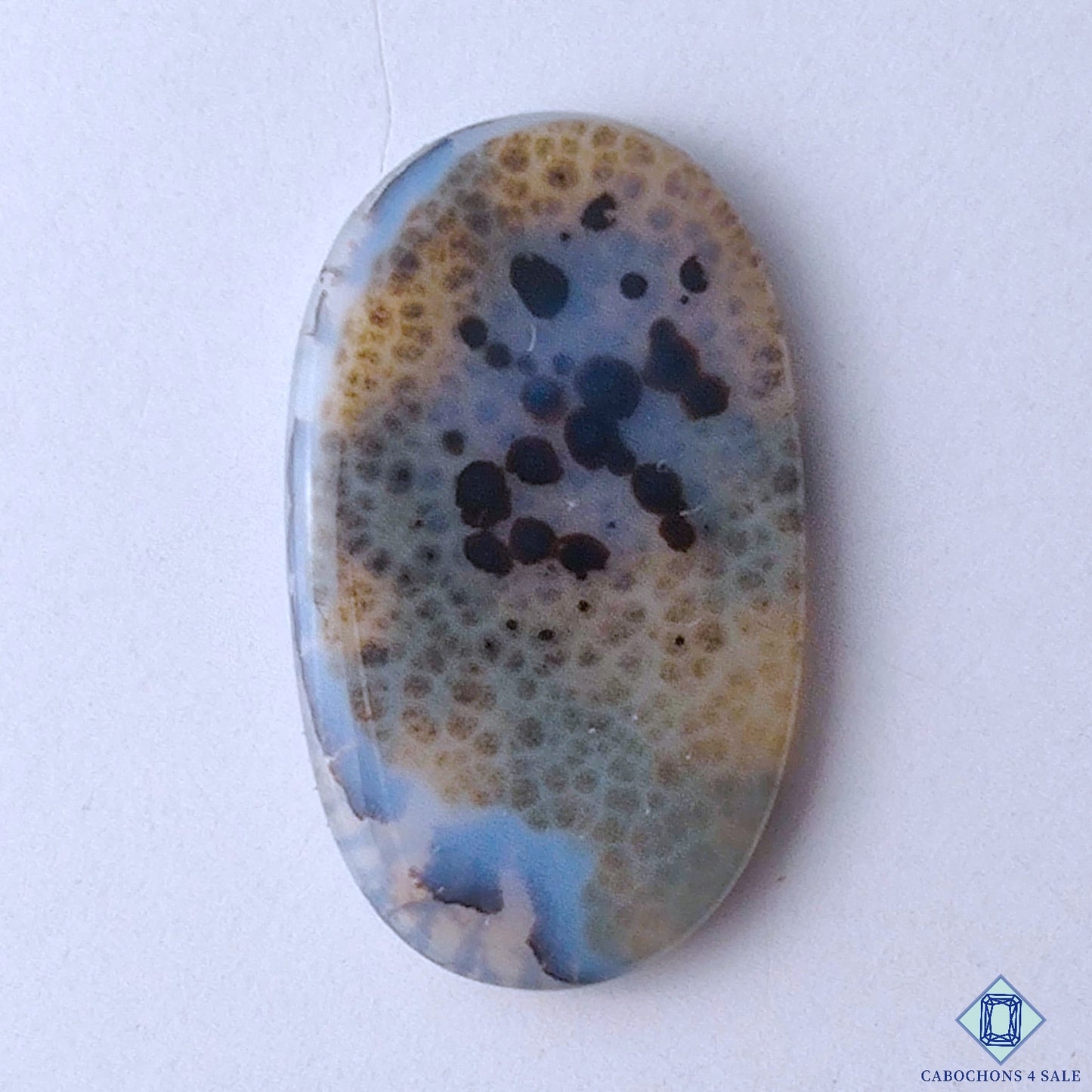 Scenic Agate