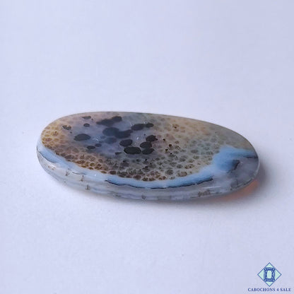 Scenic Agate