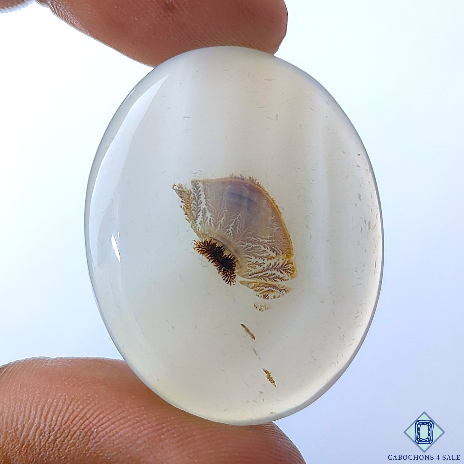 Scenic Agate