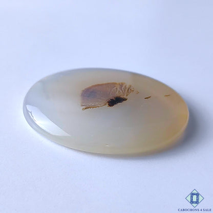 Scenic Agate