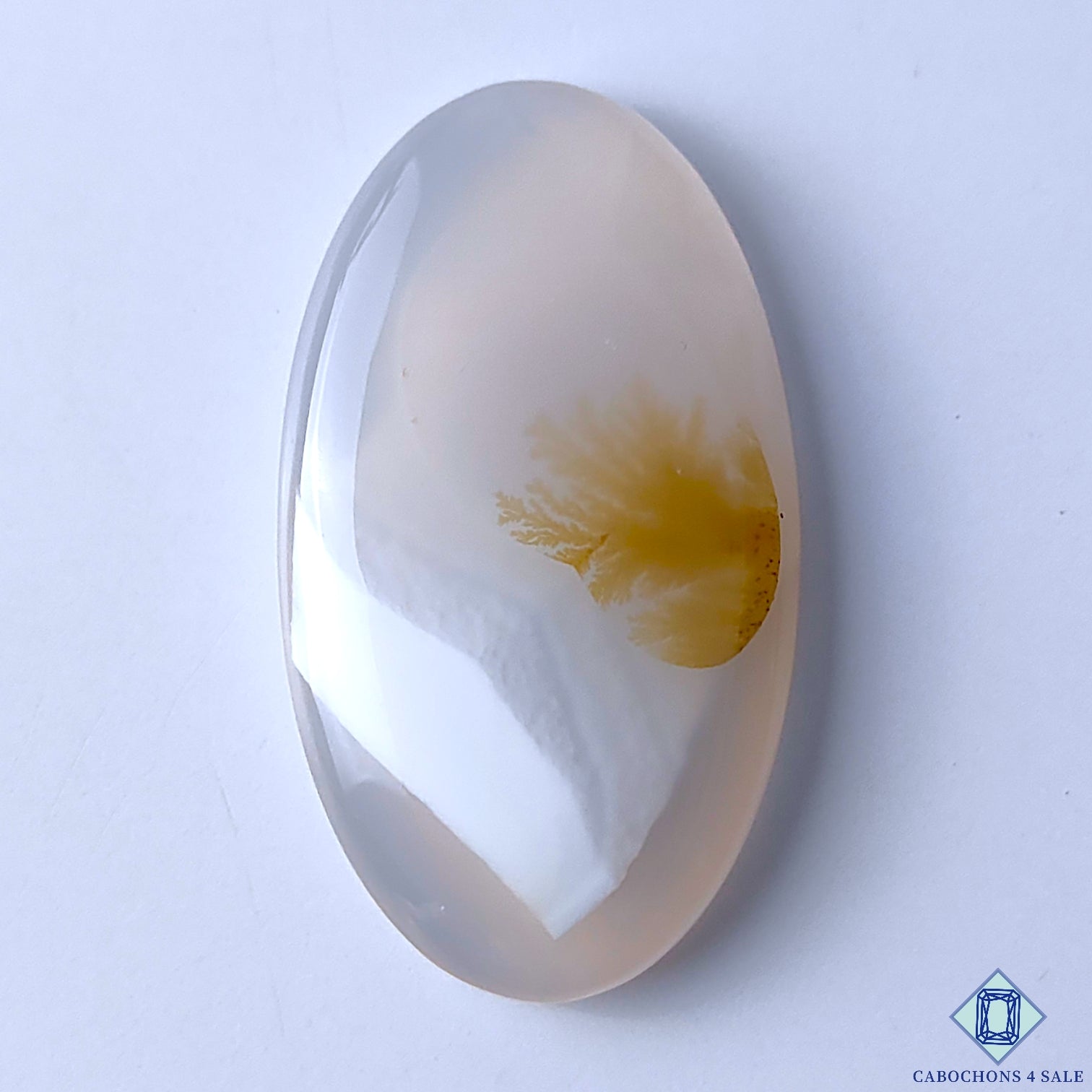 Scenic Agate