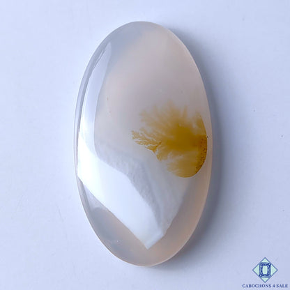 Scenic Agate