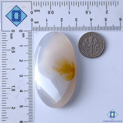 Scenic Agate
