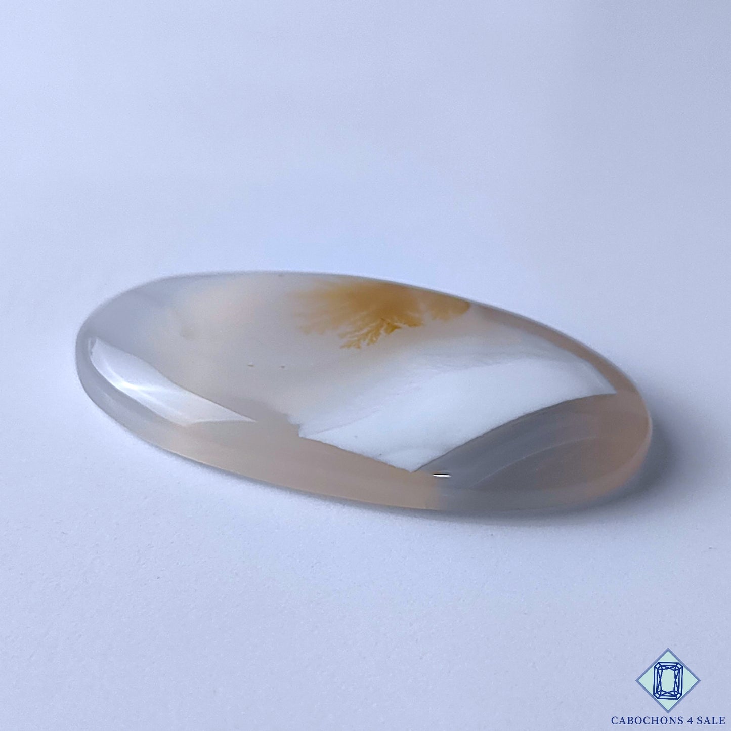 Scenic Agate