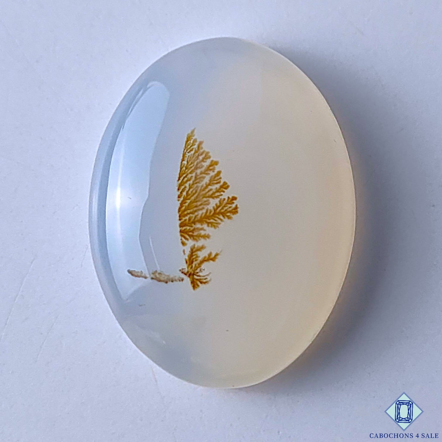 Scenic Agate